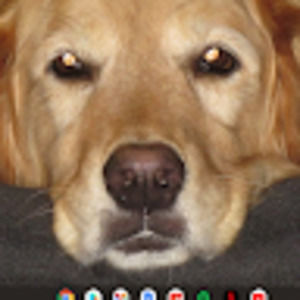 Meet your Posher, Lee